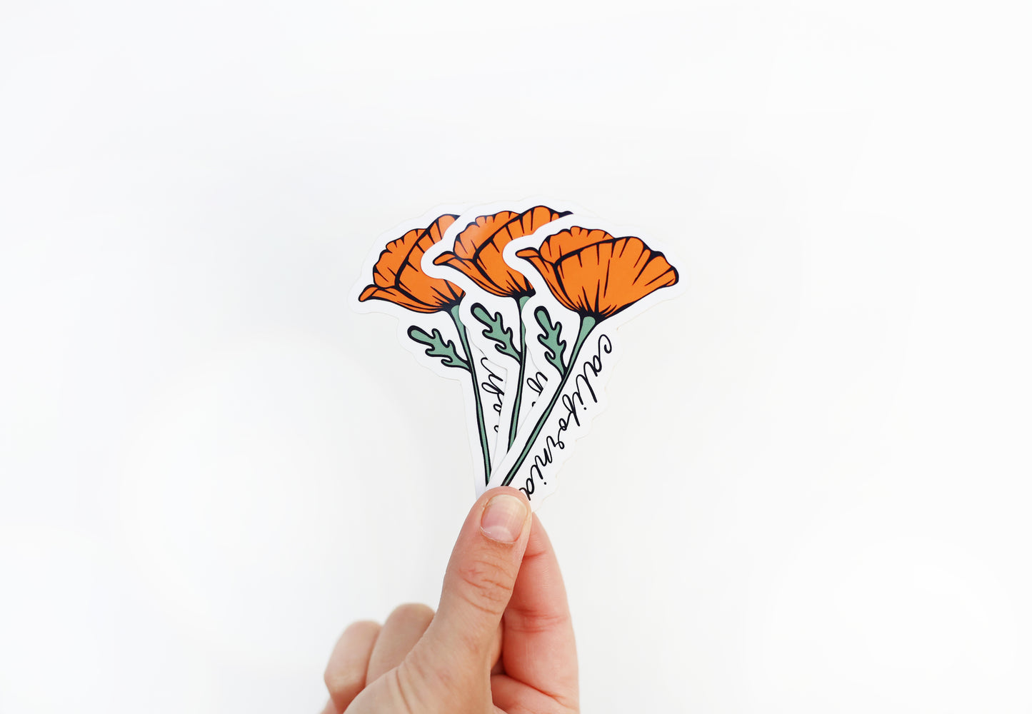 California Golden Poppy Vinyl Sticker